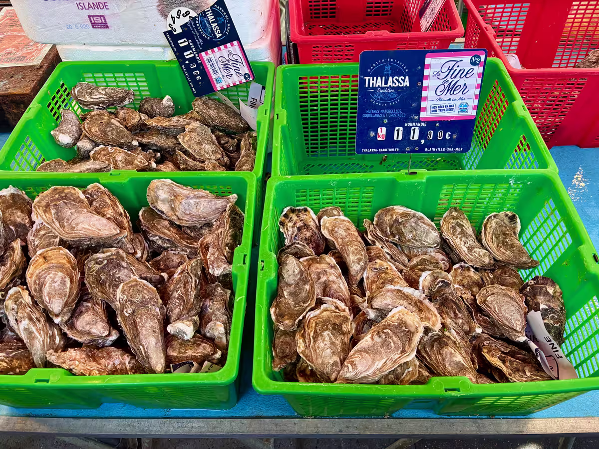 巴黎巴士地市场 (Marché Bastille) 摊位上,新鲜的生蚝准备出售。