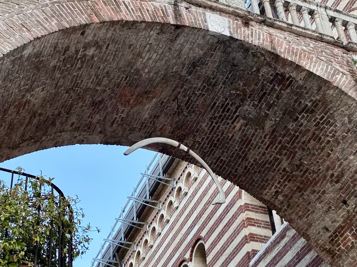 维罗纳的肋骨拱门 (Arco della Costa) 上悬挂的鲸肋骨。