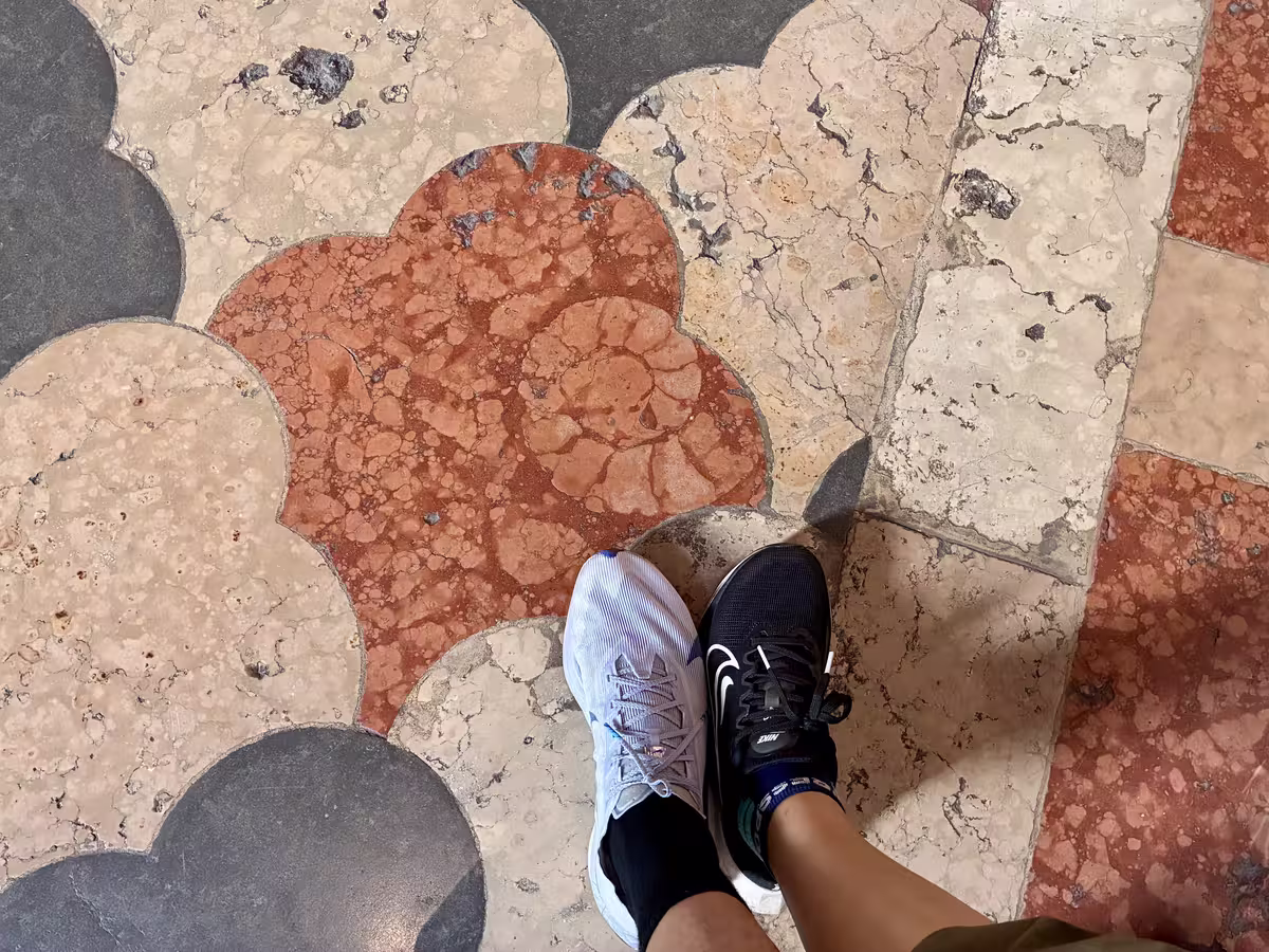 维罗纳圣安那斯塔西亚教堂 (Basilica di Santa Anastasia) 中的菊石化石。